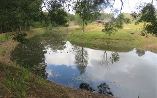 6600 m² Farm in Harkerville