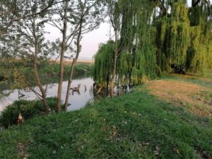 3837 m² Land available in Daleside