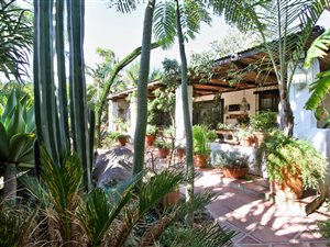 8100 m² Farm in Hout Bay and surrounds
