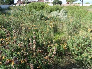 727 m² Land available in Fraaiuitsig
