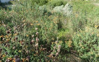 727 m² Land available in Fraaiuitsig