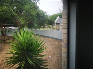 5 Bed House in Bryanston