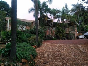 5.4 ha Farm in Amandasig