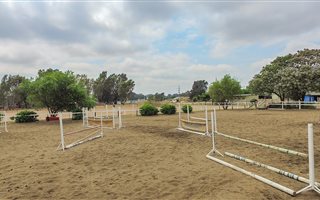 4 ha Farm in Benoni AH