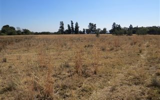 4 ha Farm in Hartzenbergfontein