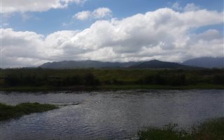 2.4 ha Land available in Franschhoek