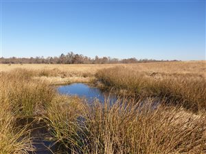 270.2 ha Farm in Modimolle