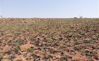 1 ha Farm in Walkerville