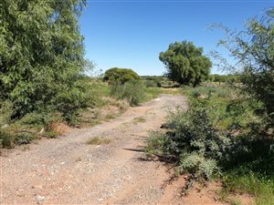 25 ha Farm in Kimberley