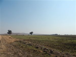 1 ha Land available in Kaydale