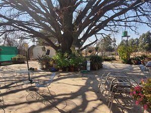 8.6 ha Farm in Bronkhorstspruit