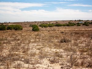 2 ha Land available in Long Acres