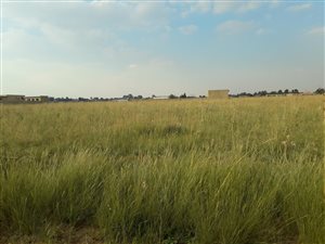 2094 m² Land available in Jameson Park