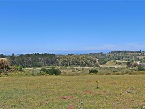 1.8 ha Land available in Colleen Glen