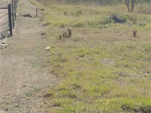 763 m² Land available in Parlock