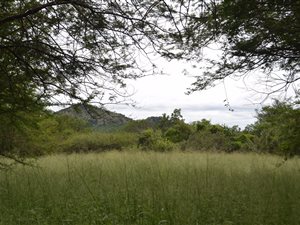 2500 m² Land available in Kampersrus AH
