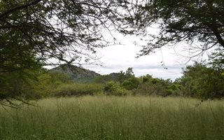2500 m² Land available in Kampersrus AH