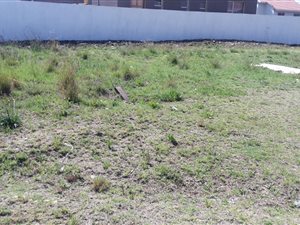 263 m² Land available in Sharon Park