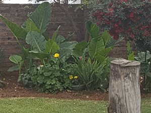 4 Bed House in Hartbeesfontein