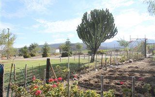 212 ha Farm in Vanwyksdorp