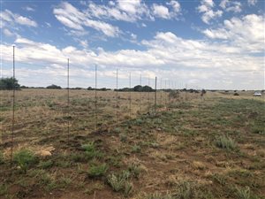 1142 m² Farm in Lichtenburg