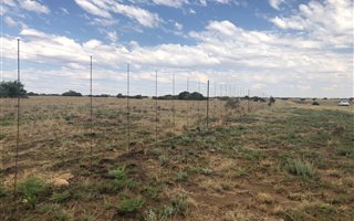 1142 m² Farm in Lichtenburg