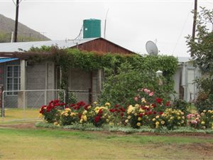 1 Bed House in Joubertina