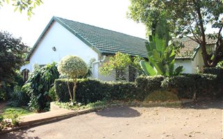 3 Bedroom House in Park Hill