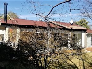 4 Bed House in Lyttelton Manor