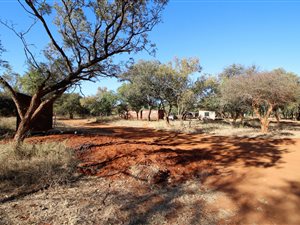 20.4 ha Farm in Bela-Bela (Warmbaths)
