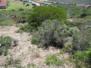 652 m² Land available in Seemeeu Park