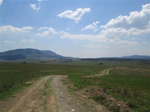 21 ha Farm in Vryheid