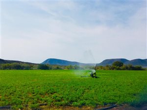 9 ha Farm in Adendorp