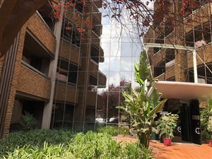 247 m² Commercial space in Bedfordview