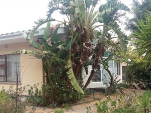 3 Bed House in Hopefield