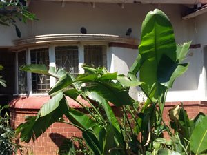 2 Bed House in Sydenham