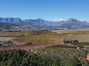 5 ha Farm in Stellenbosch Agricultural