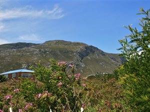 770 m² Land available in Bettys Bay