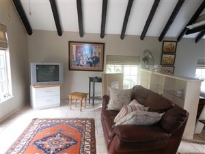 Bachelor apartment in Hillcrest Central