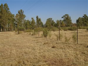 162 ha Farm in Klerksdorp