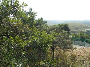 693 m² Land available in Morgans Bay