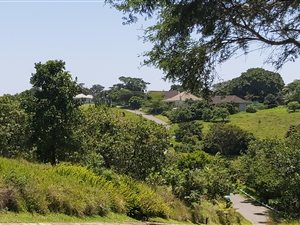 1054 m² Land available in Eshowe