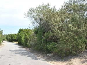 750 m² Land available in Gamtoos Mouth