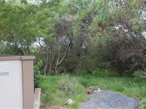914 m² Land available in Sunrise on Sea
