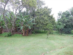 2700 m² Land available in Forest Hills