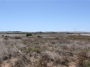 5 ha Farm in Vredenburg