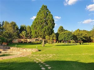 18 Bed House in Rispark