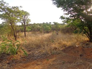 926 m² Land available in Roodeplaat