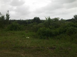 1457 m² Land available in Verulam