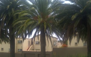1 Bedroom Townhouse in Rembrandt Park